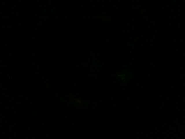 Near-black top-down camera frame from the August 13 glow capture, showing no bioluminescent flash above the detection background
