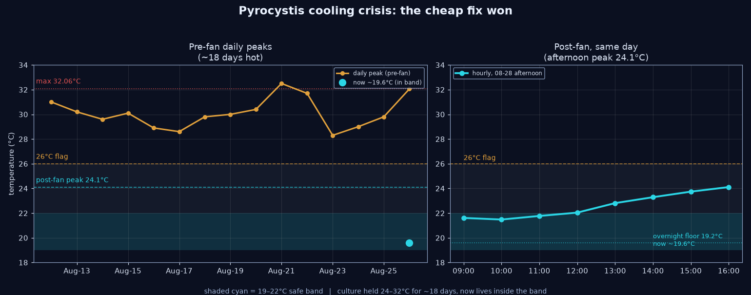 Dual-panel chart: left, pre-fan daily peaks hovering 28.6 to 32.1C with the 32.06C maximum marked, above the amber 26C flag and the cyan safe band; right, the post-fan August 28 hourly curve rising from 21.48 to 24.11C with the 19.2C overnight floor noted