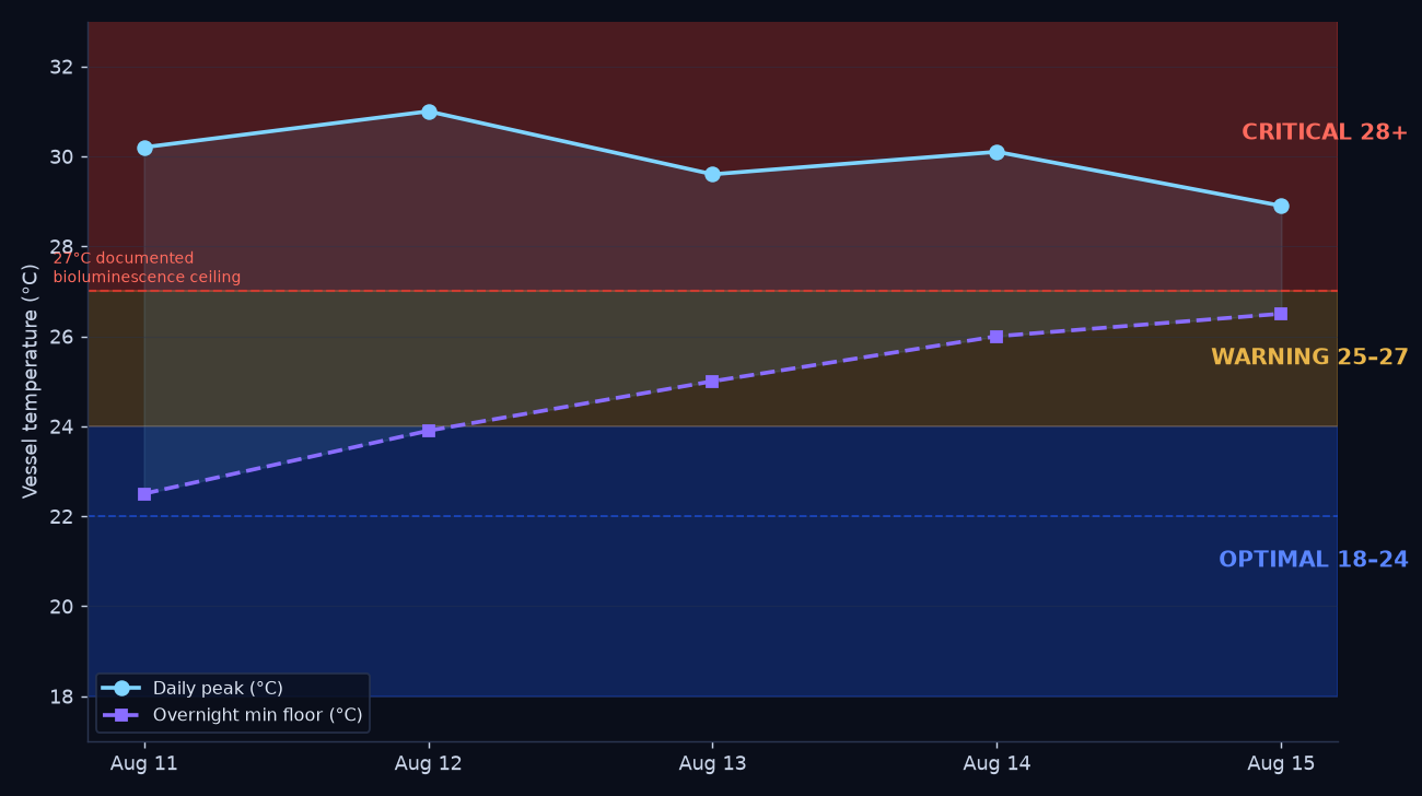 Chart overlaying optimal, warning, and critical temperature zones for bioluminescent dinoflagellates against the culture's actual August 11-15 daily peaks and overnight floors, showing the culture living entirely in the critical zone