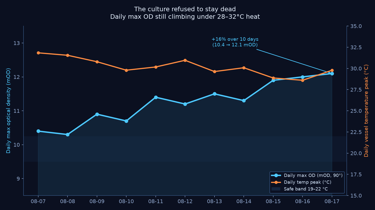 Dual-axis chart showing daily max optical density climbing from 0.0104 to 0.0121 mOD over ten days while vessel temperature stays at 28 to 32 degrees Celsius, well above the safe 19 to 22 degree band