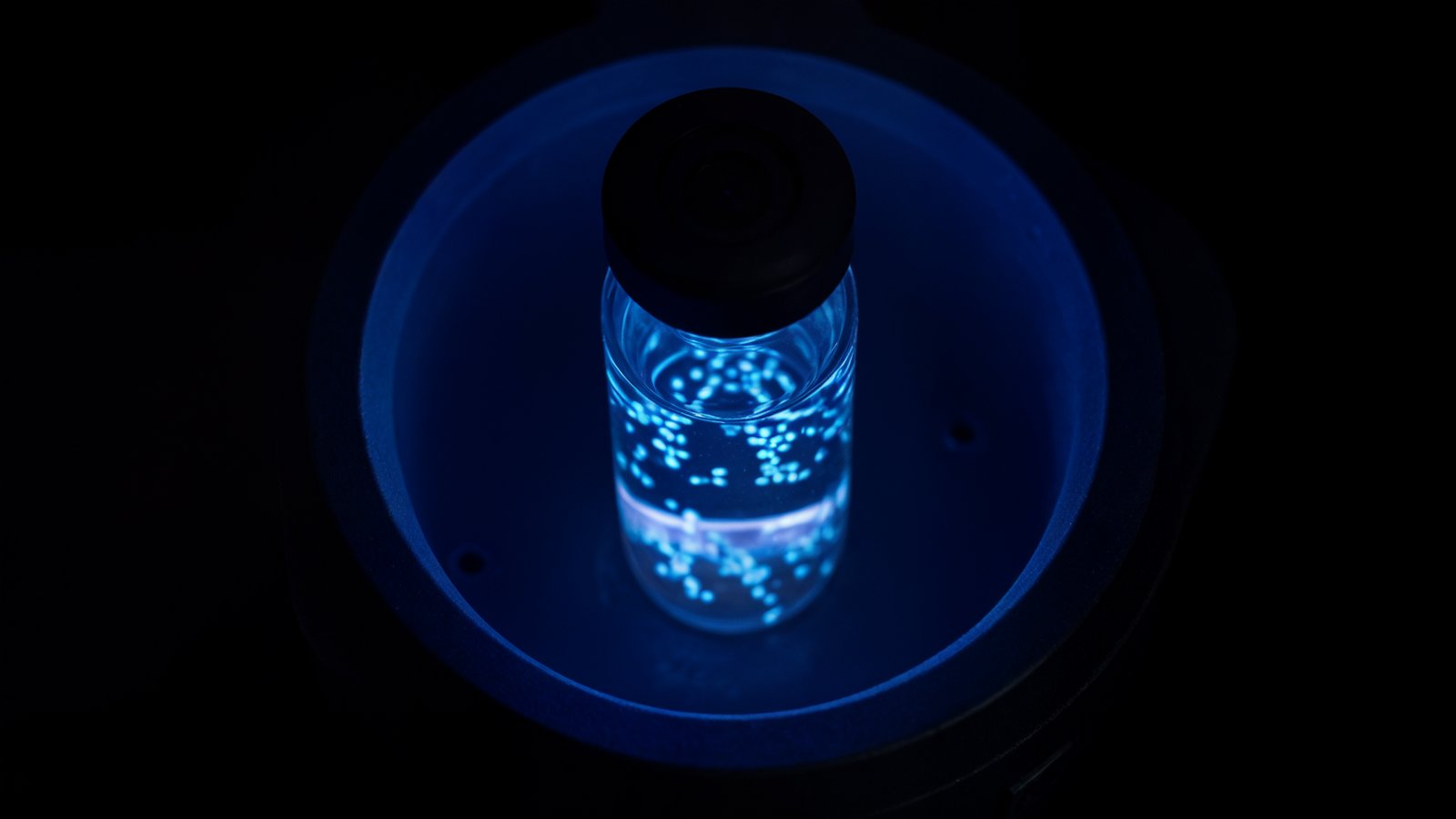 Top-down view of a vial of bioluminescent Pyrocystis plankton glowing blue in a dark enclosure
