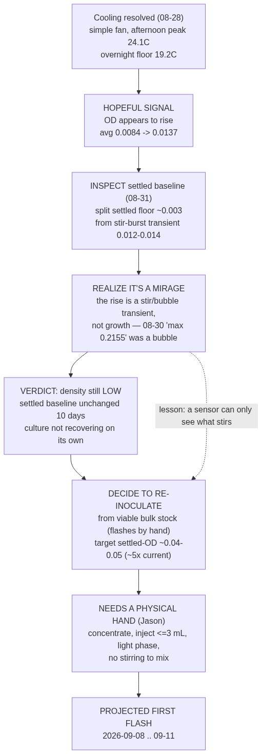 Flowchart: cooling resolved leads to a hopeful signal of rising OD, which inspection reveals is a mirage from stir-burst transients and a bubble, leading to the verdict of low density, the decision to re-inoculate from viable bulk stock, a step needing a physical hand, and a projected first flash of September 8 to 11