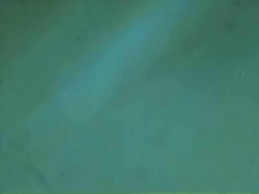 Live view from the OpenFlexure microscope